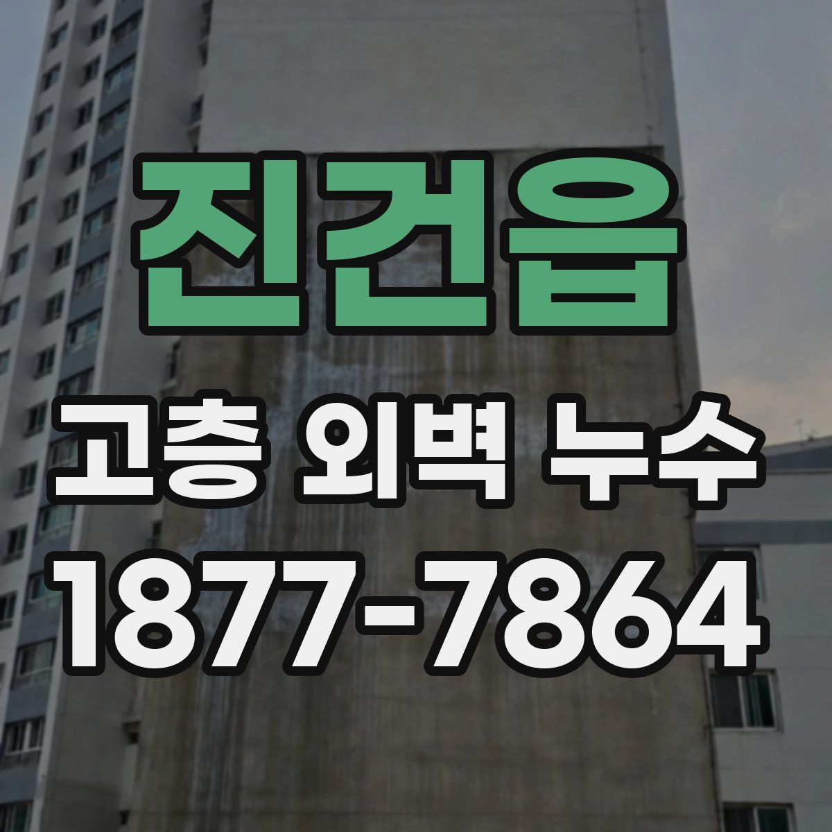 진건읍 고층 외벽 누수