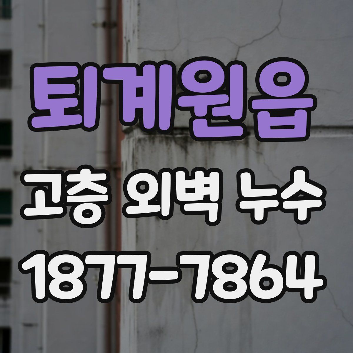 퇴계원읍 고층 외벽 누수 누수 확산을 막는 초기 대응