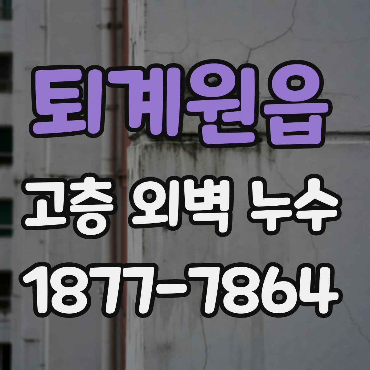 퇴계원읍 고층 외벽 누수
