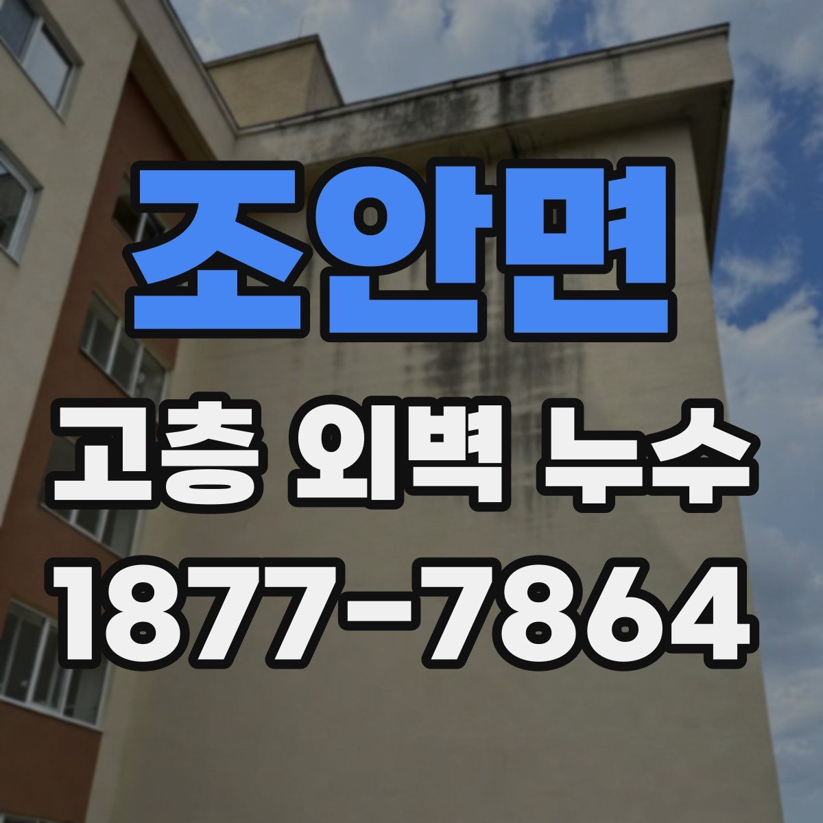 조안면 고층 외벽 누수
