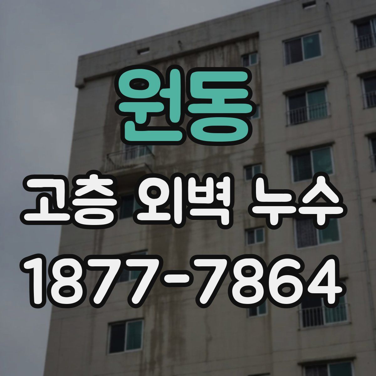 원동 고층 외벽 누수