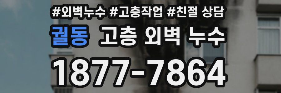 궐동 고층 외벽 누수