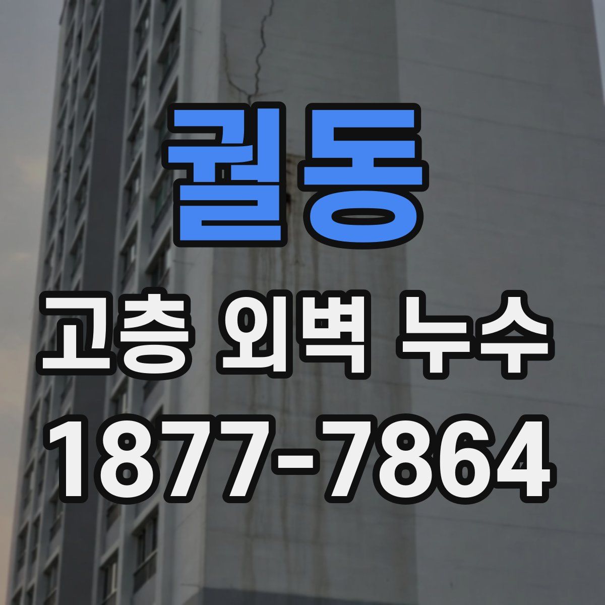 궐동 고층 외벽 누수