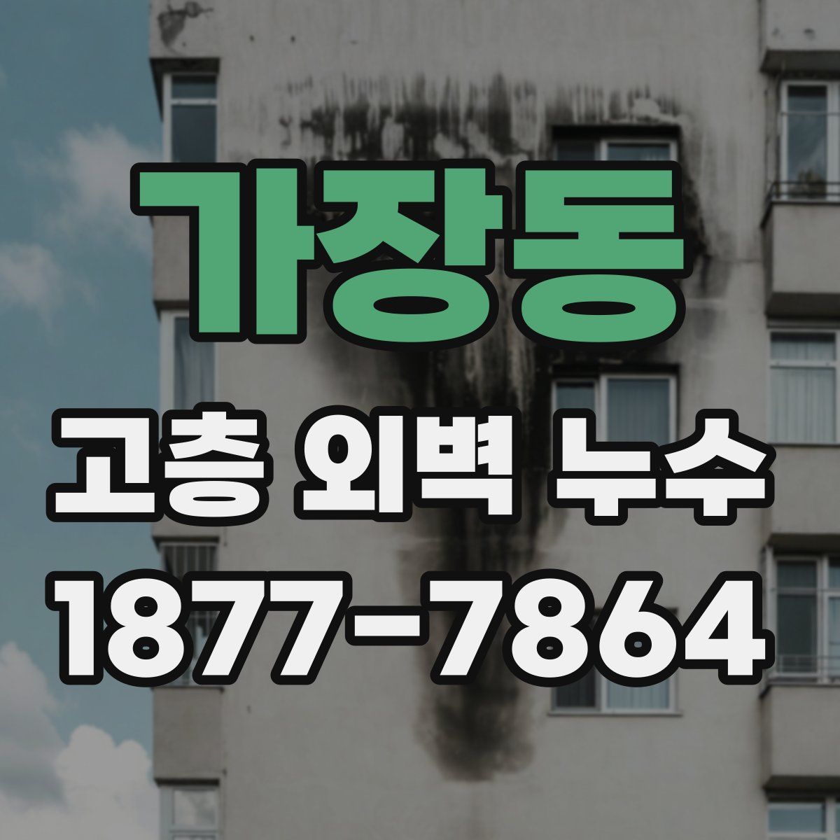 가장동 고층 외벽 누수