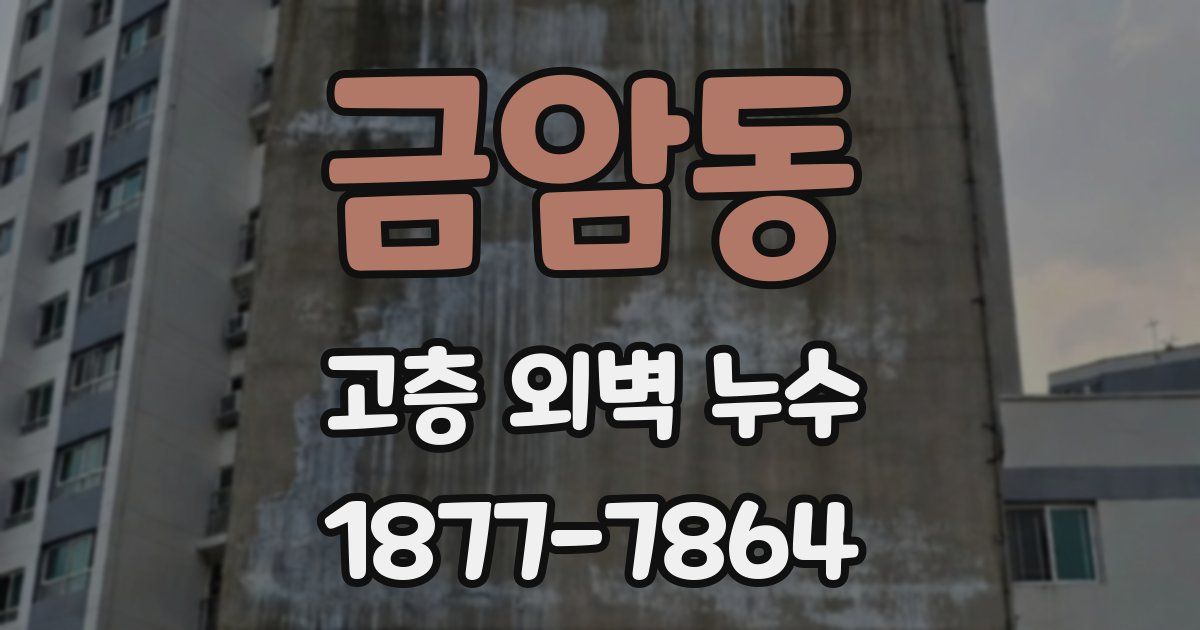 금암동 고층 외벽 누수