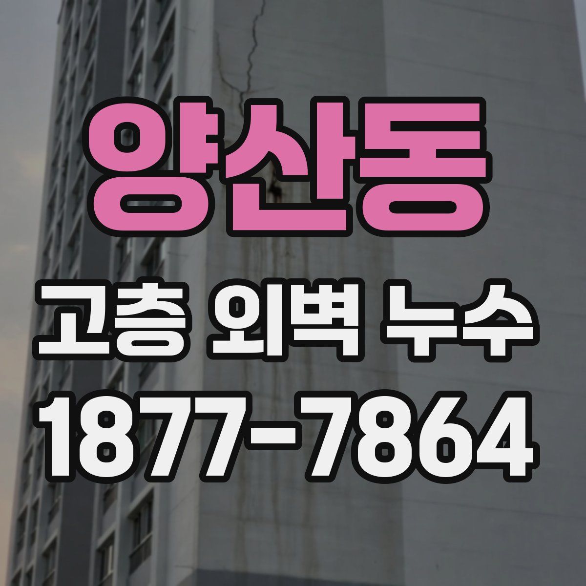 양산동 고층 외벽 누수