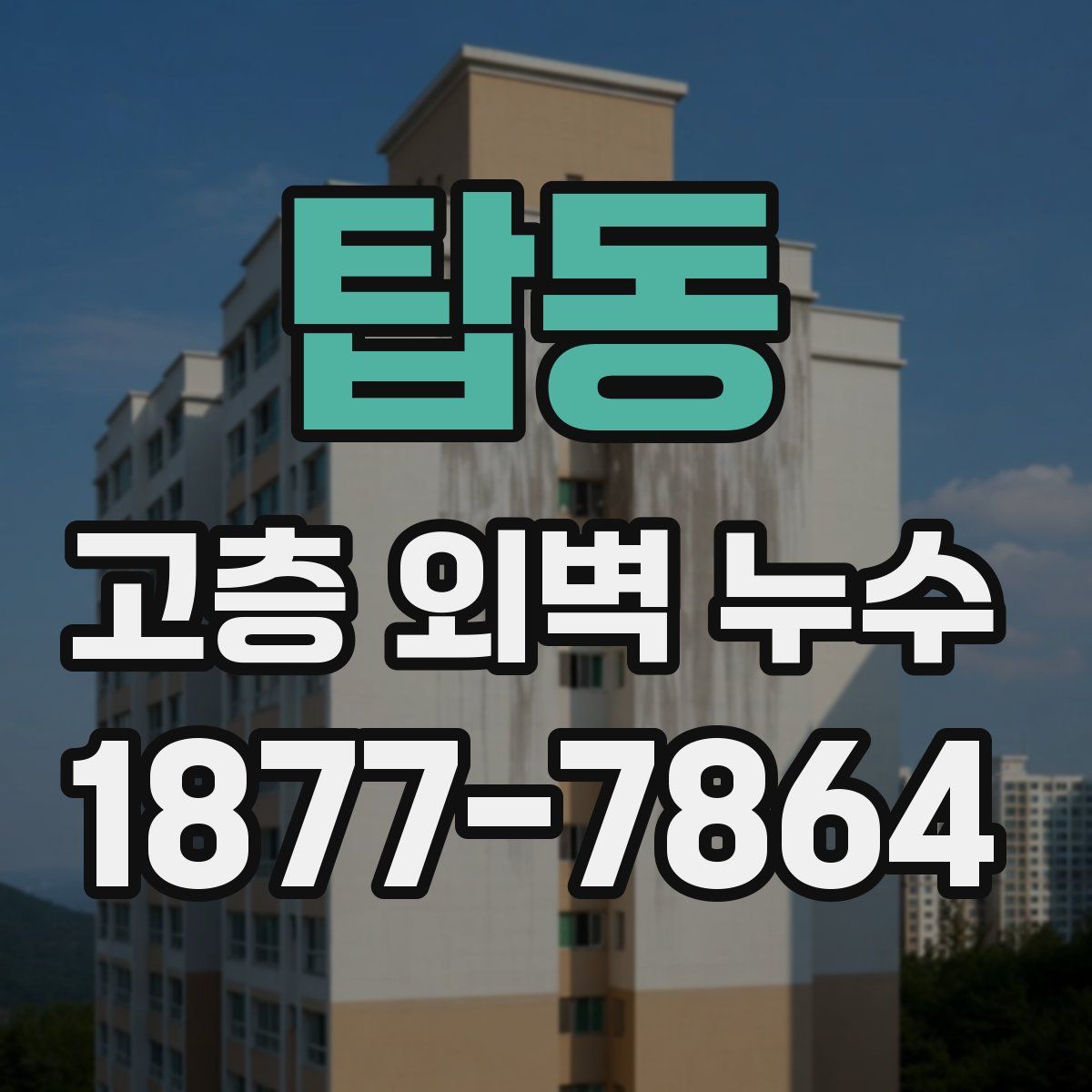 탑동 고층 외벽 누수