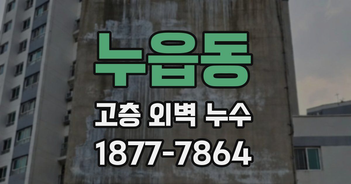 누읍동 고층 외벽 누수