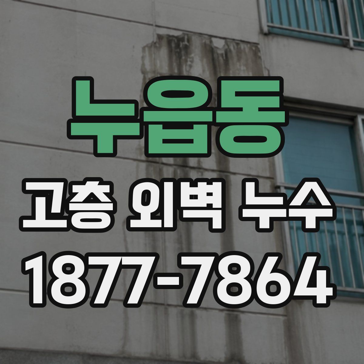 누읍동 고층 외벽 누수