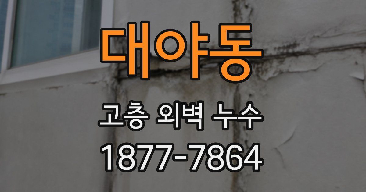 대야동 고층 외벽 누수