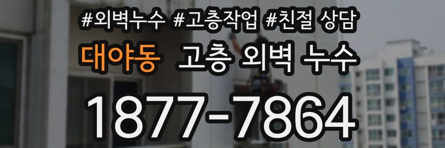 대야동 고층 외벽 누수