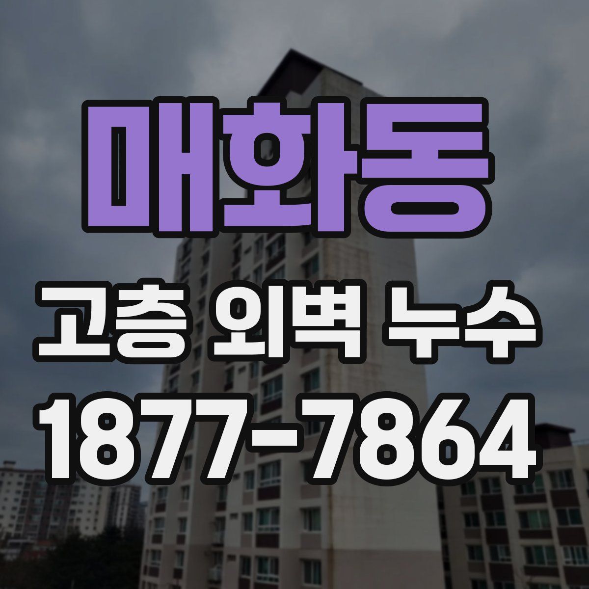 매화동 고층 외벽 누수