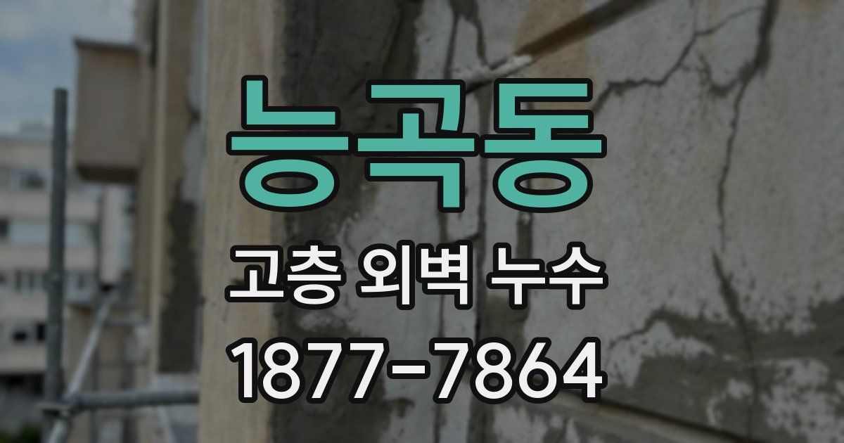 능곡동 고층 외벽 누수