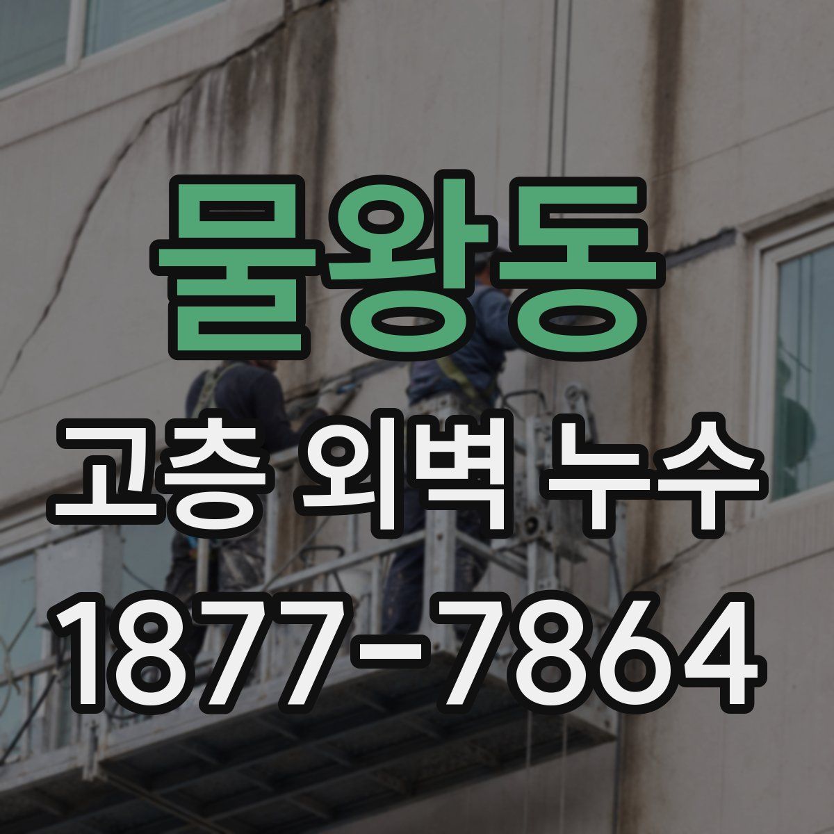 물왕동 고층 외벽 누수