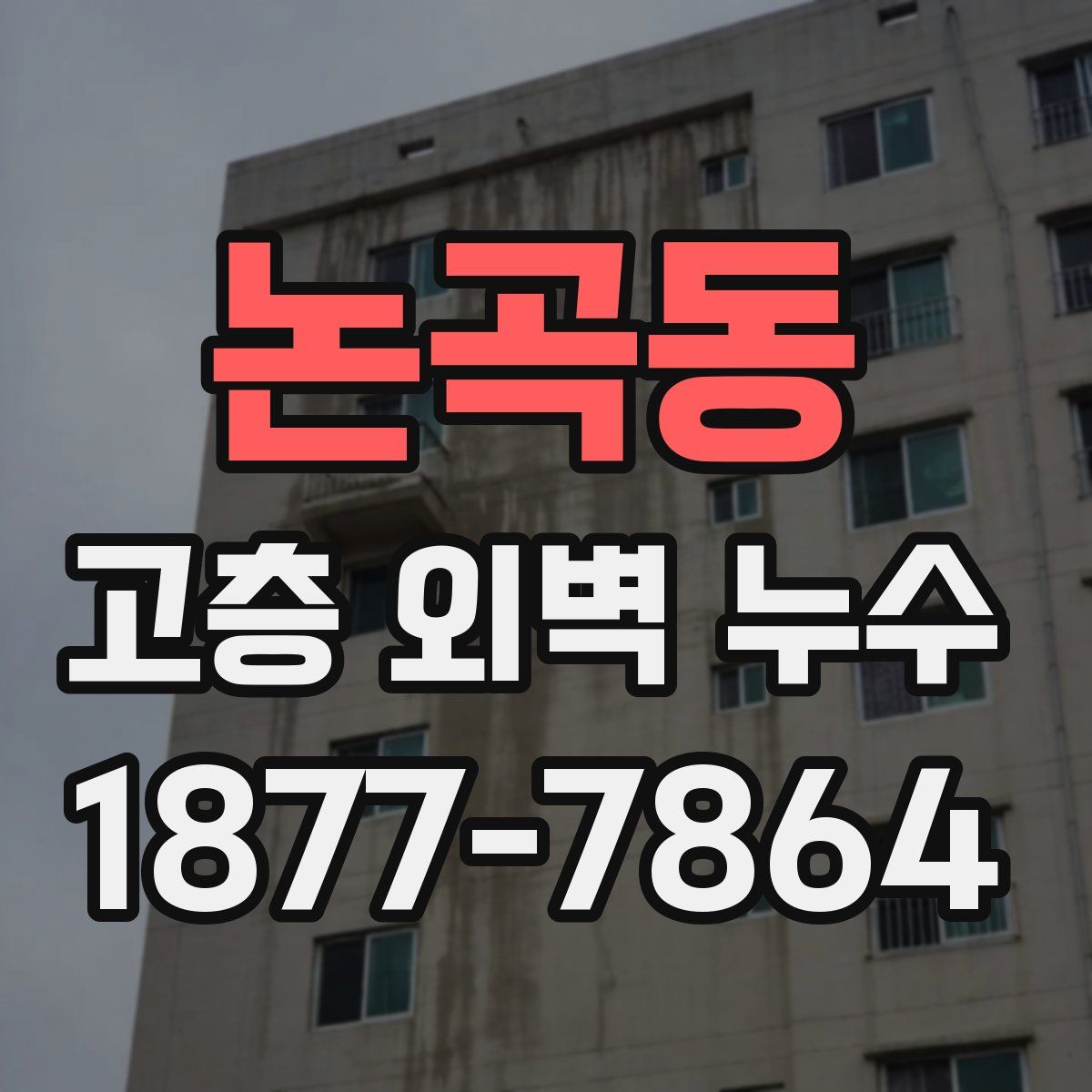 논곡동 고층 외벽 누수