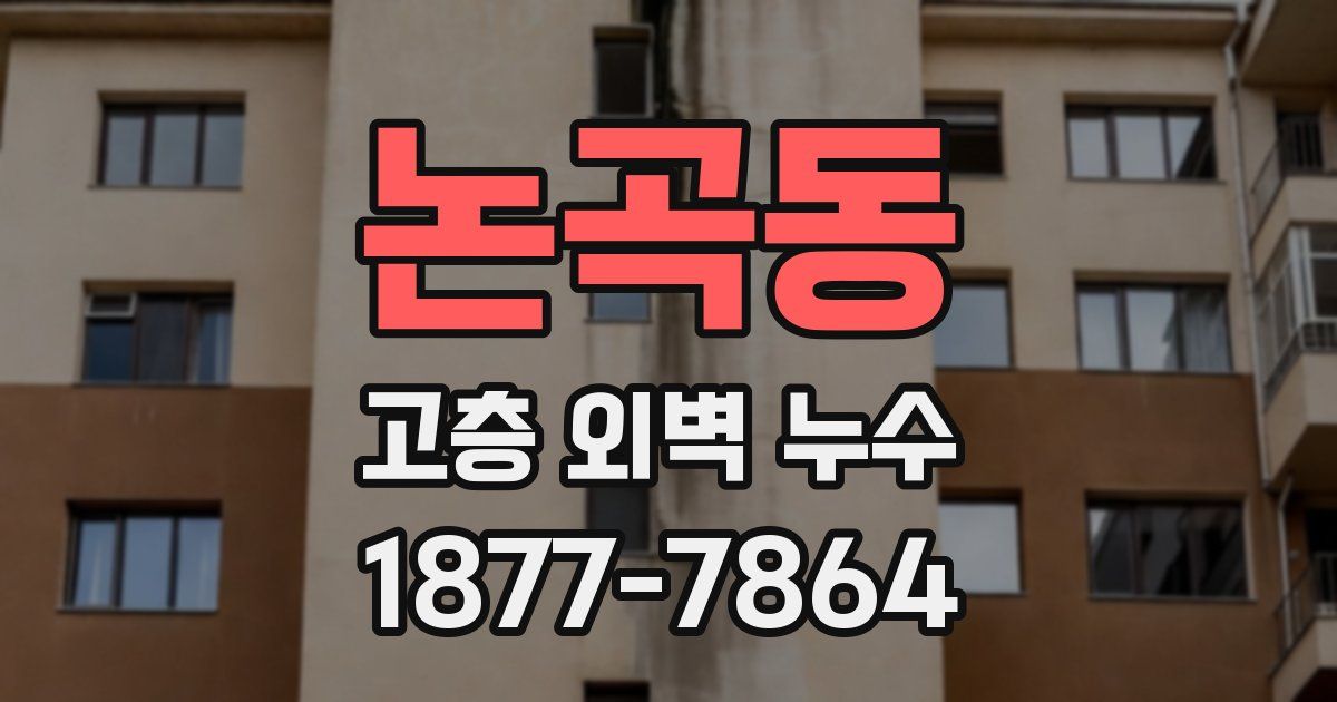 논곡동 고층 외벽 누수