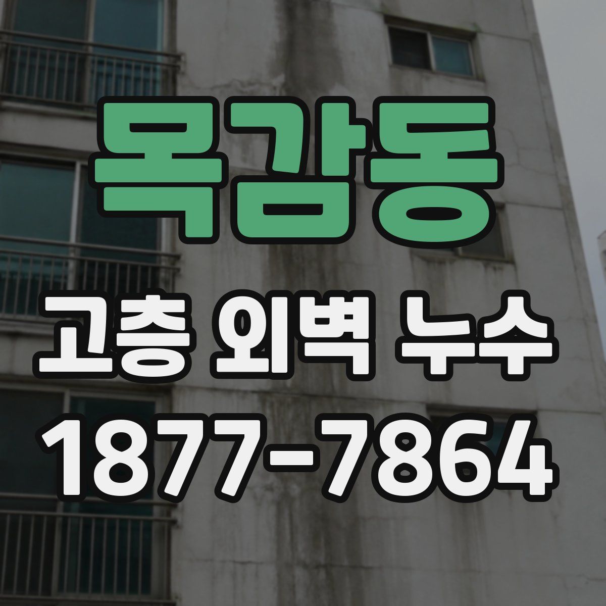 목감동 고층 외벽 누수