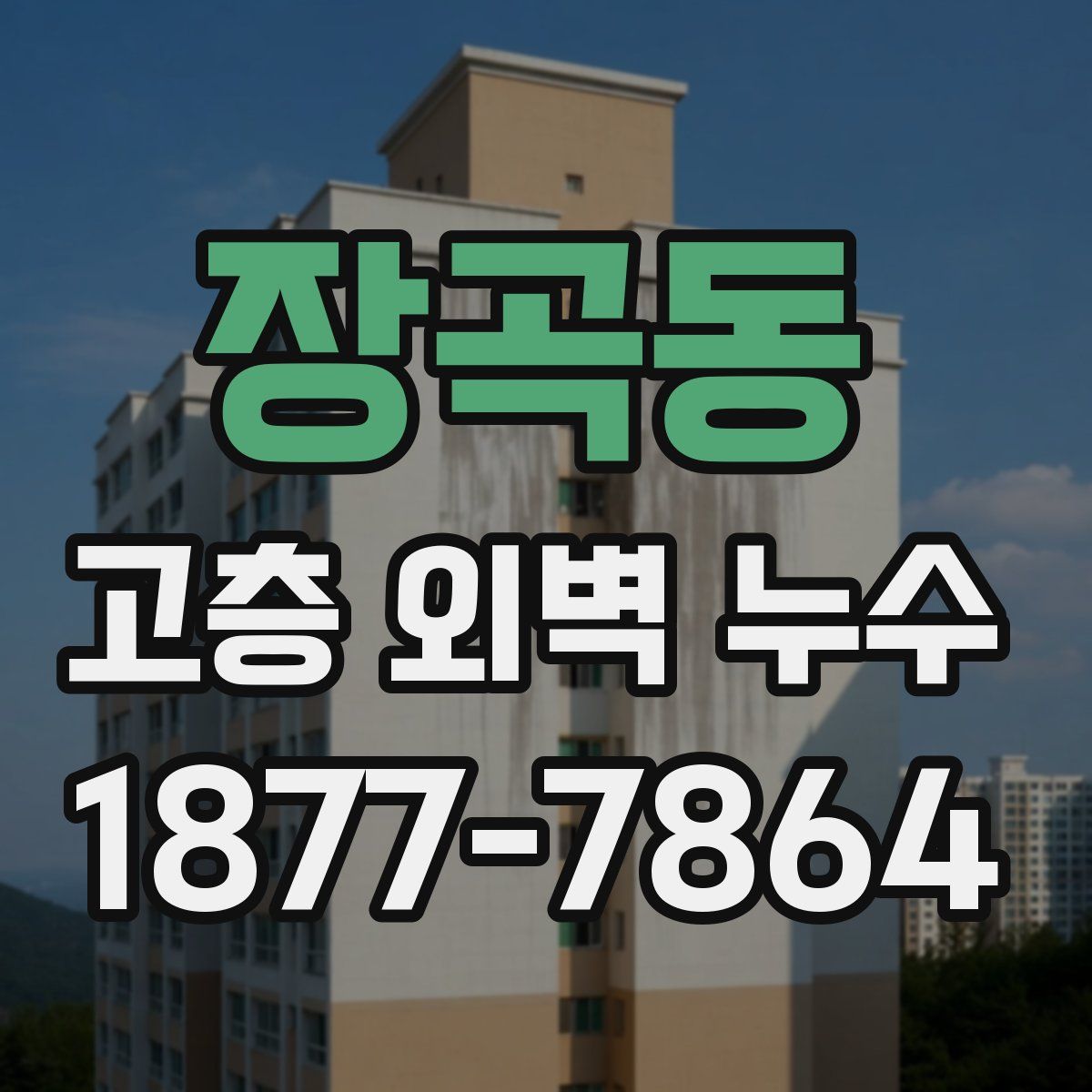 장곡동 고층 외벽 누수