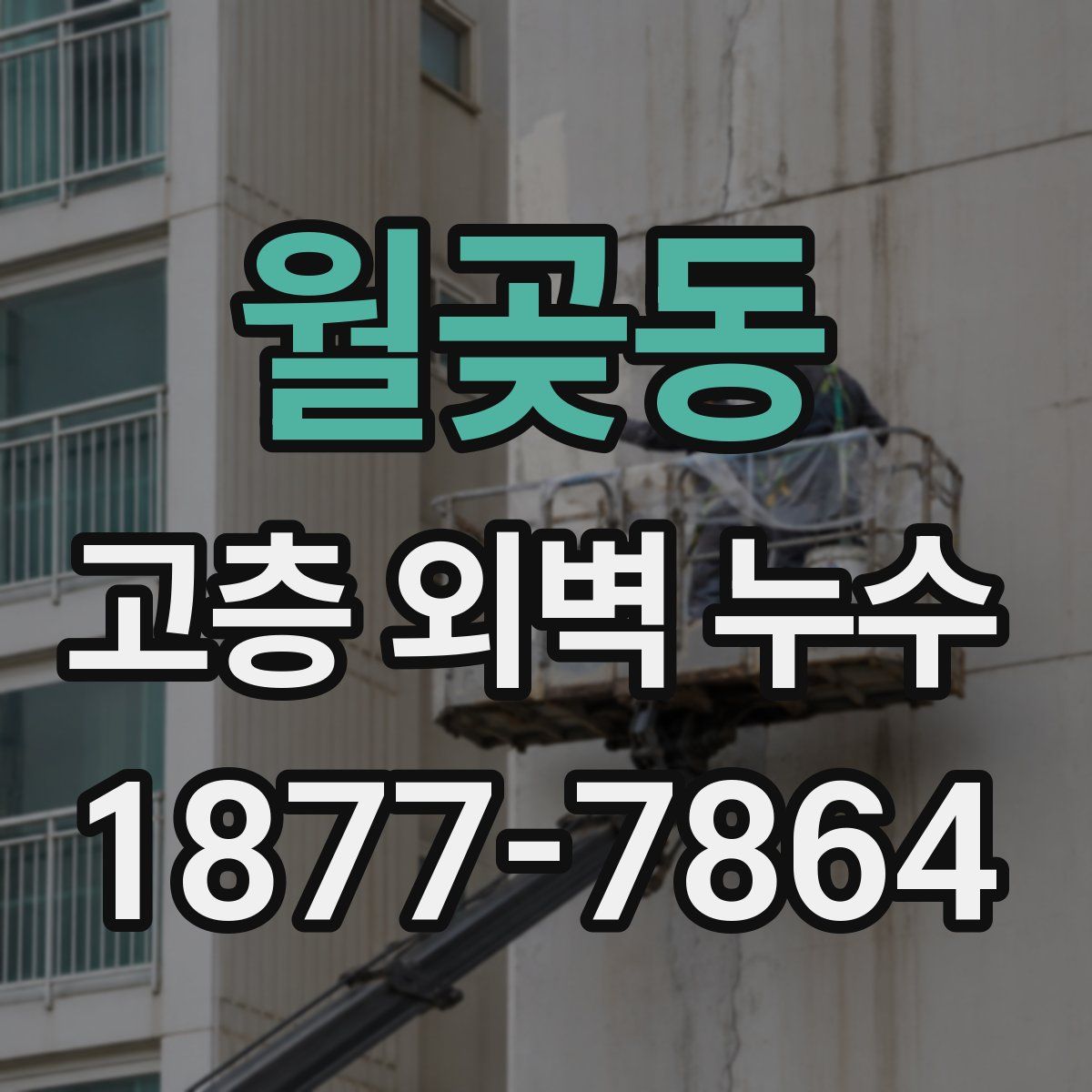 월곶동 고층 외벽 누수