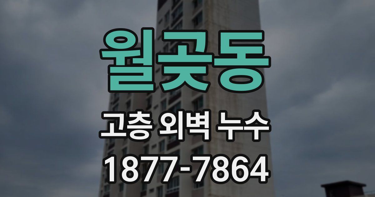월곶동 고층 외벽 누수