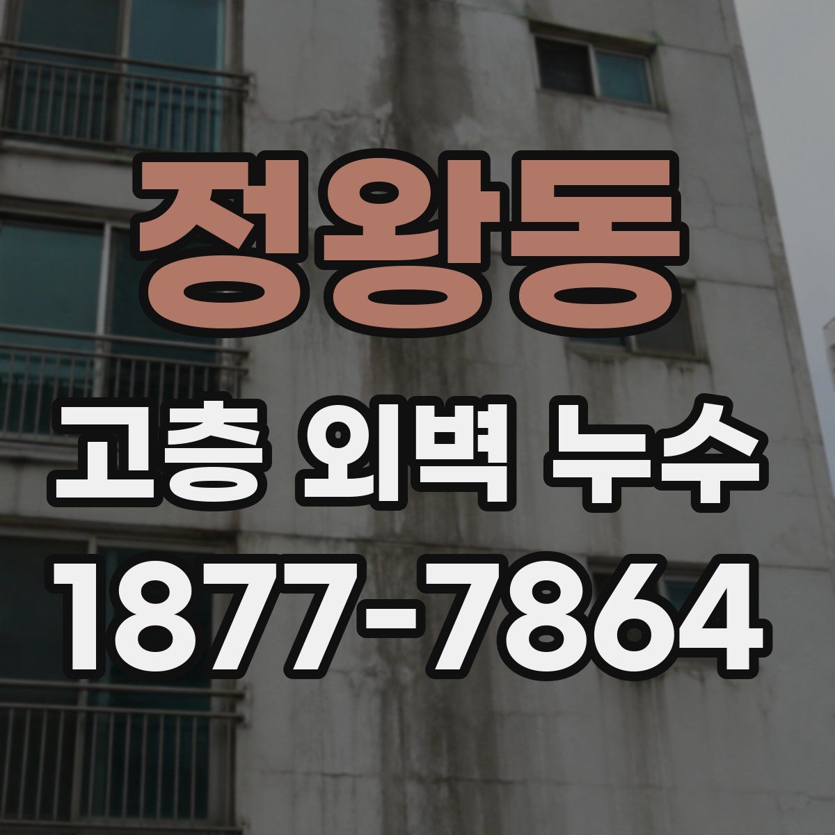 정왕동 고층 외벽 누수