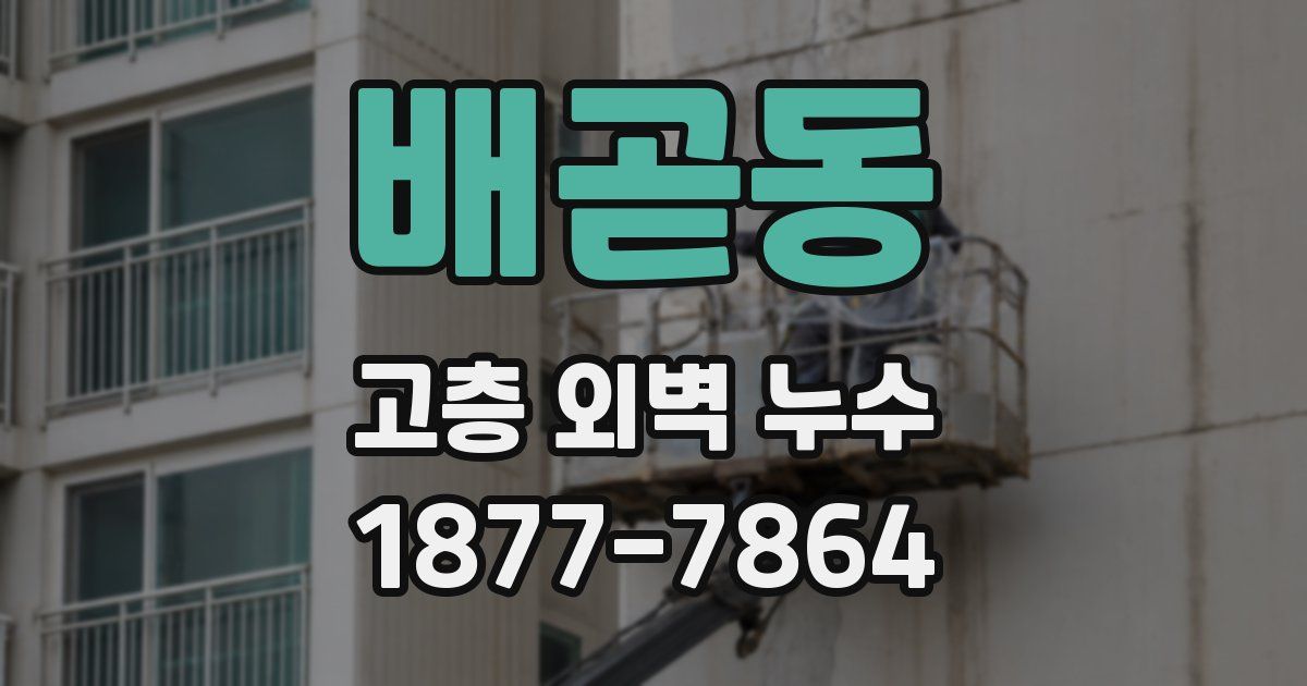 배곧동 고층 외벽 누수