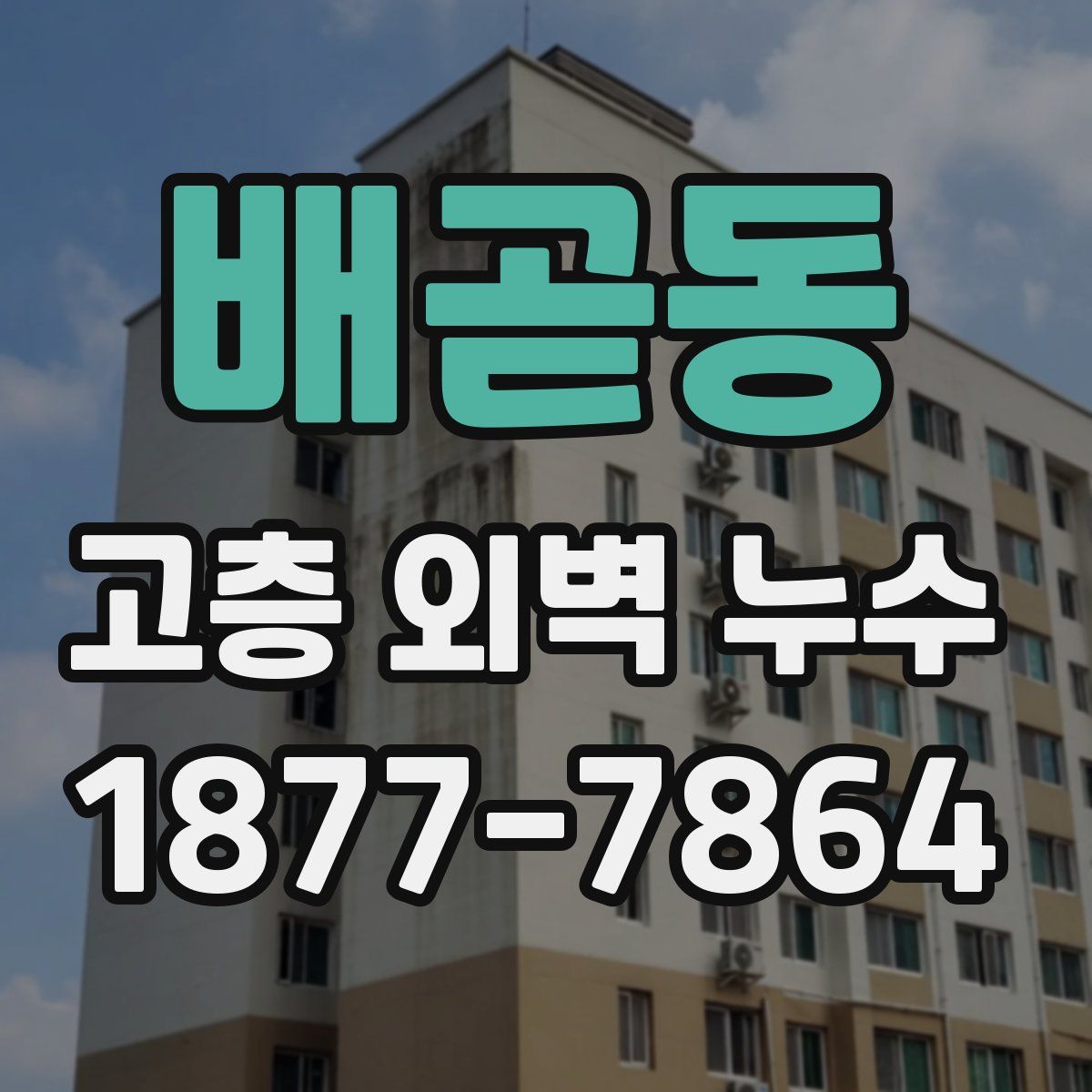 배곧동 고층 외벽 누수