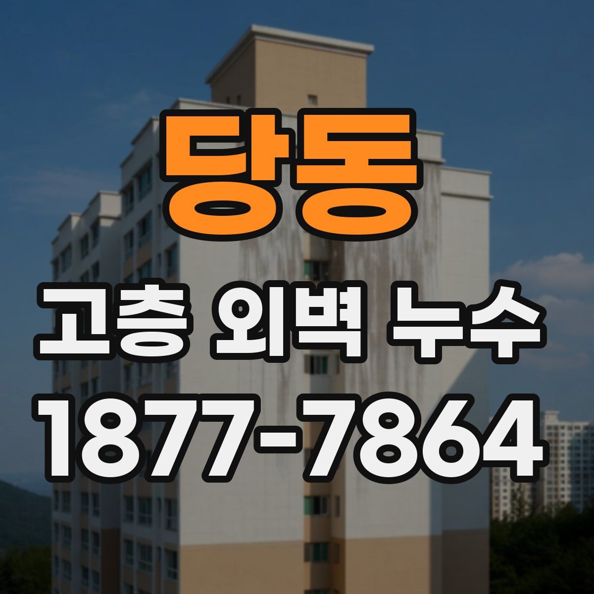 당동 고층 외벽 누수