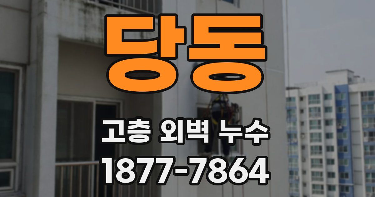 당동 고층 외벽 누수