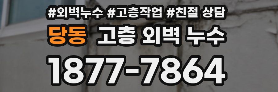 당동 고층 외벽 누수