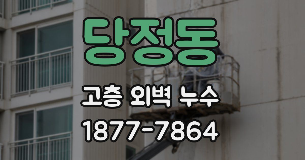 당정동 고층 외벽 누수