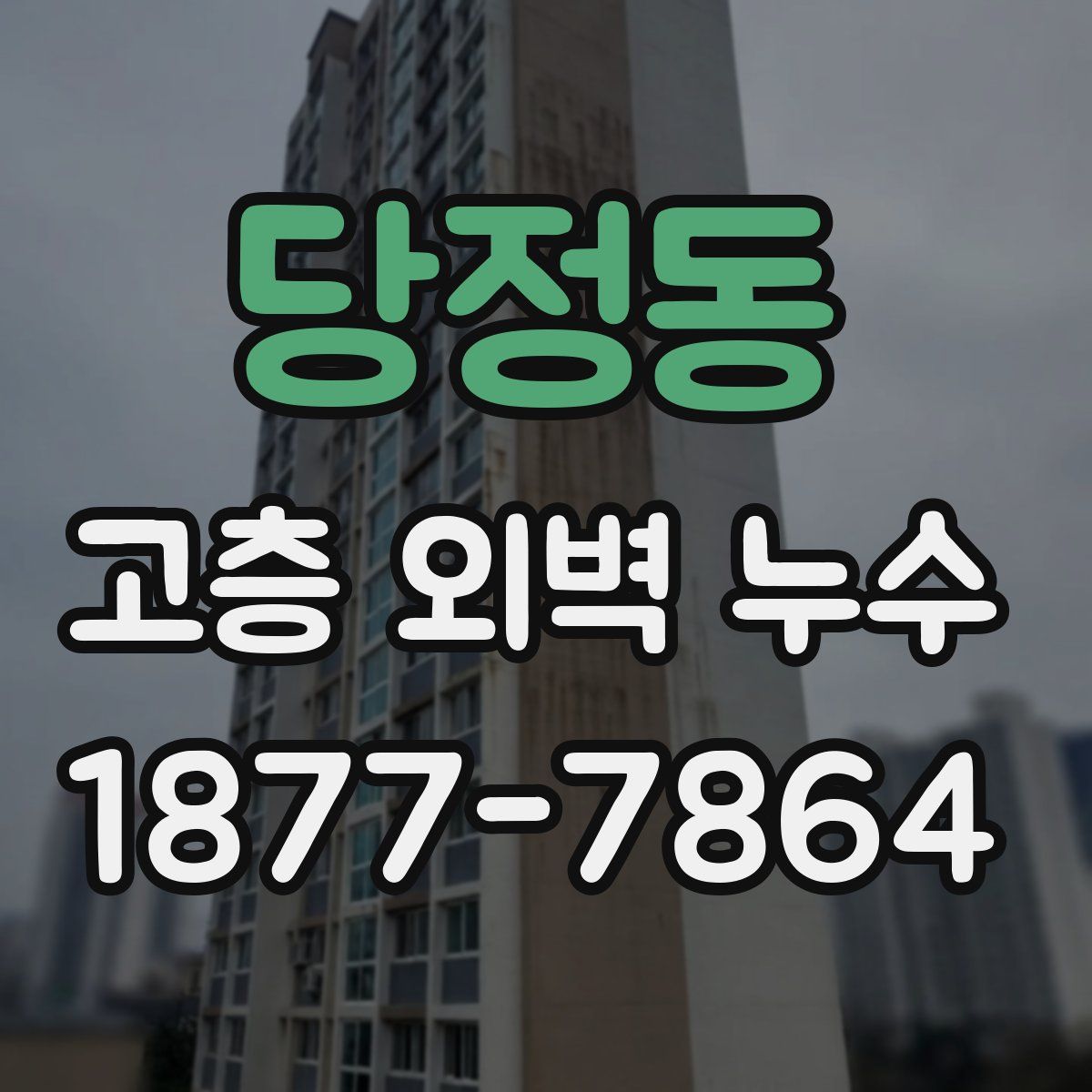 당정동 고층 외벽 누수