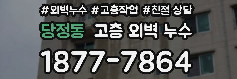 당정동 고층 외벽 누수
