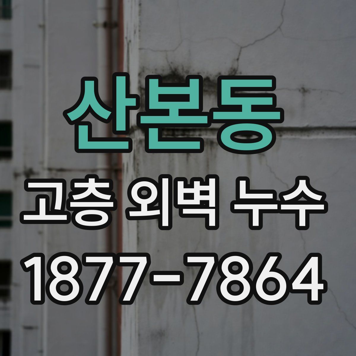 산본동 고층 외벽 누수