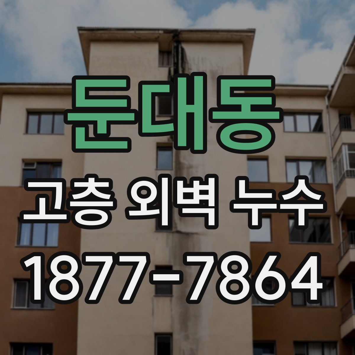 둔대동 고층 외벽 누수