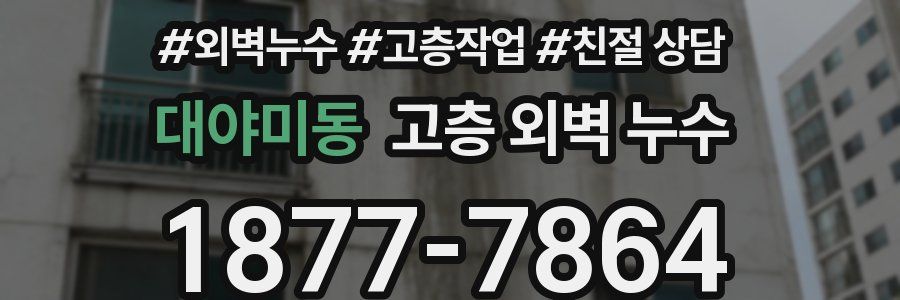 대야미동 고층 외벽 누수