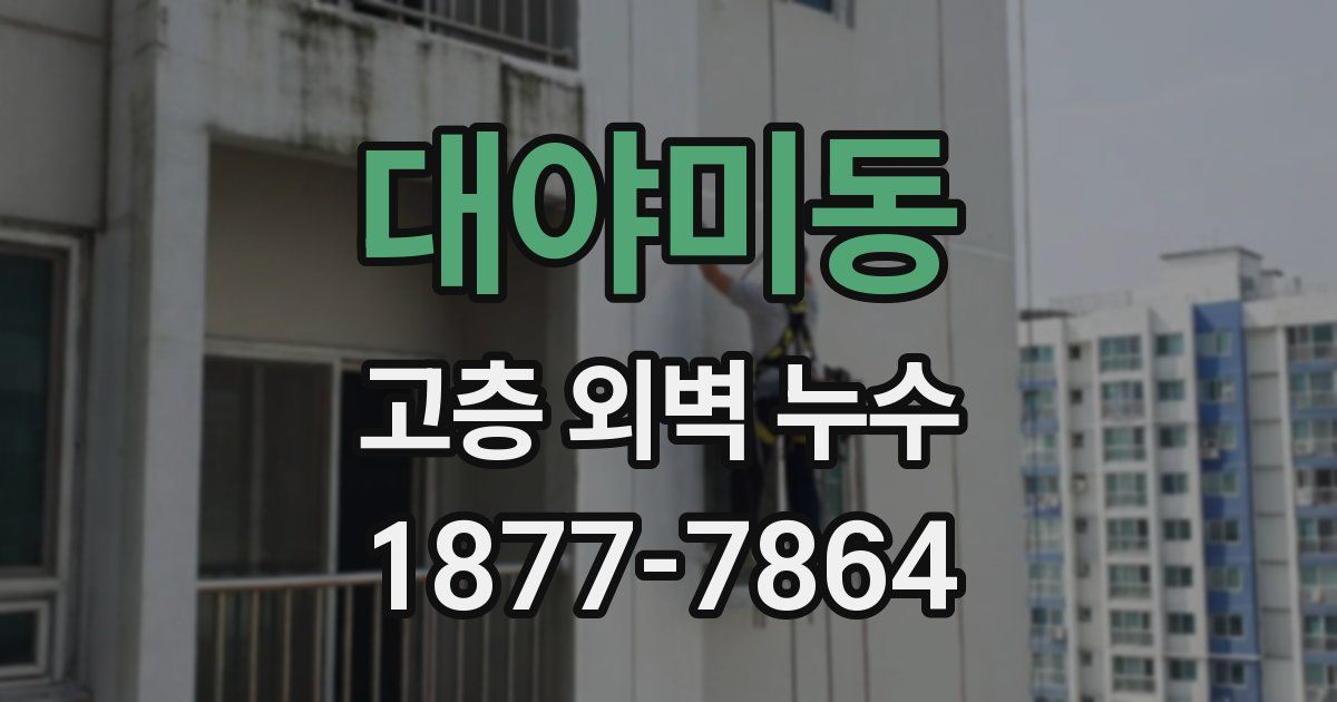대야미동 고층 외벽 누수