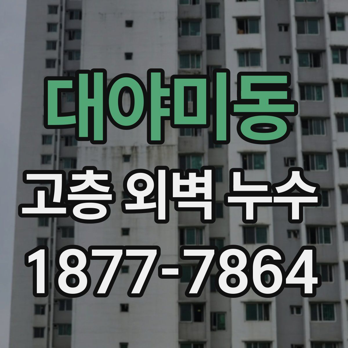 대야미동 고층 외벽 누수