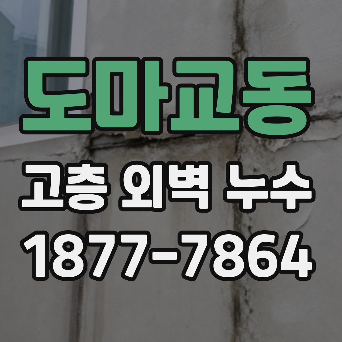 도마교동 고층 외벽 누수