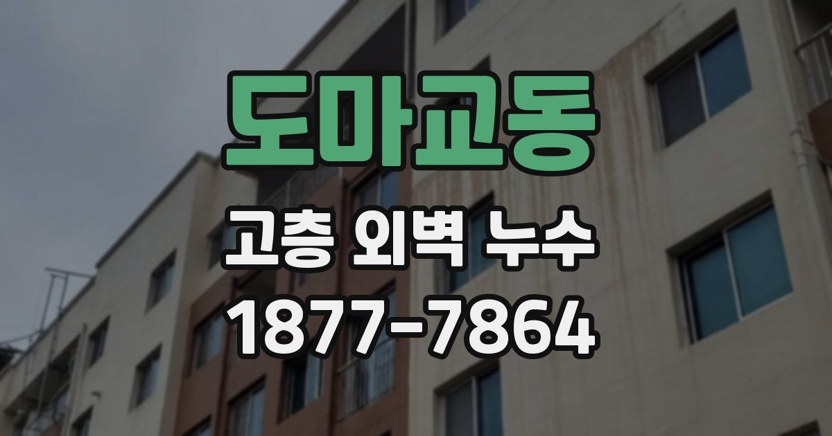 도마교동 고층 외벽 누수