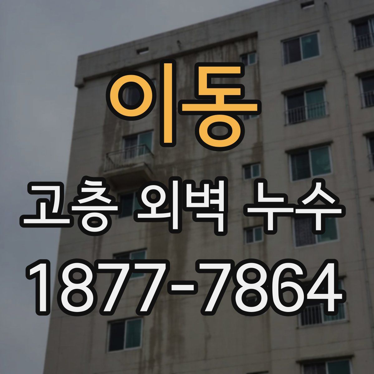 이동 고층 외벽 누수