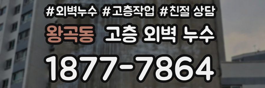 왕곡동 고층 외벽 누수