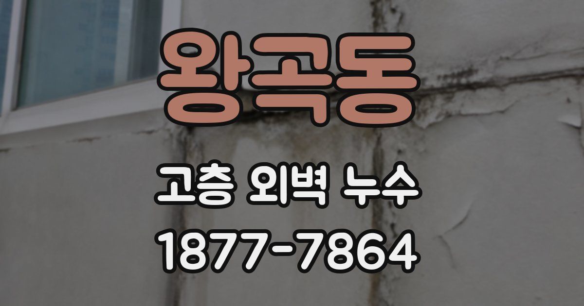 왕곡동 고층 외벽 누수