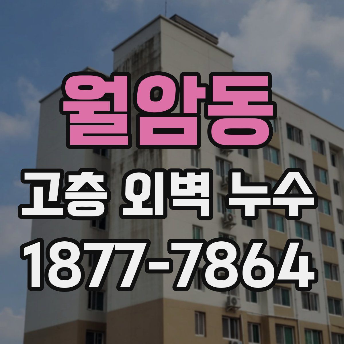 월암동 고층 외벽 누수