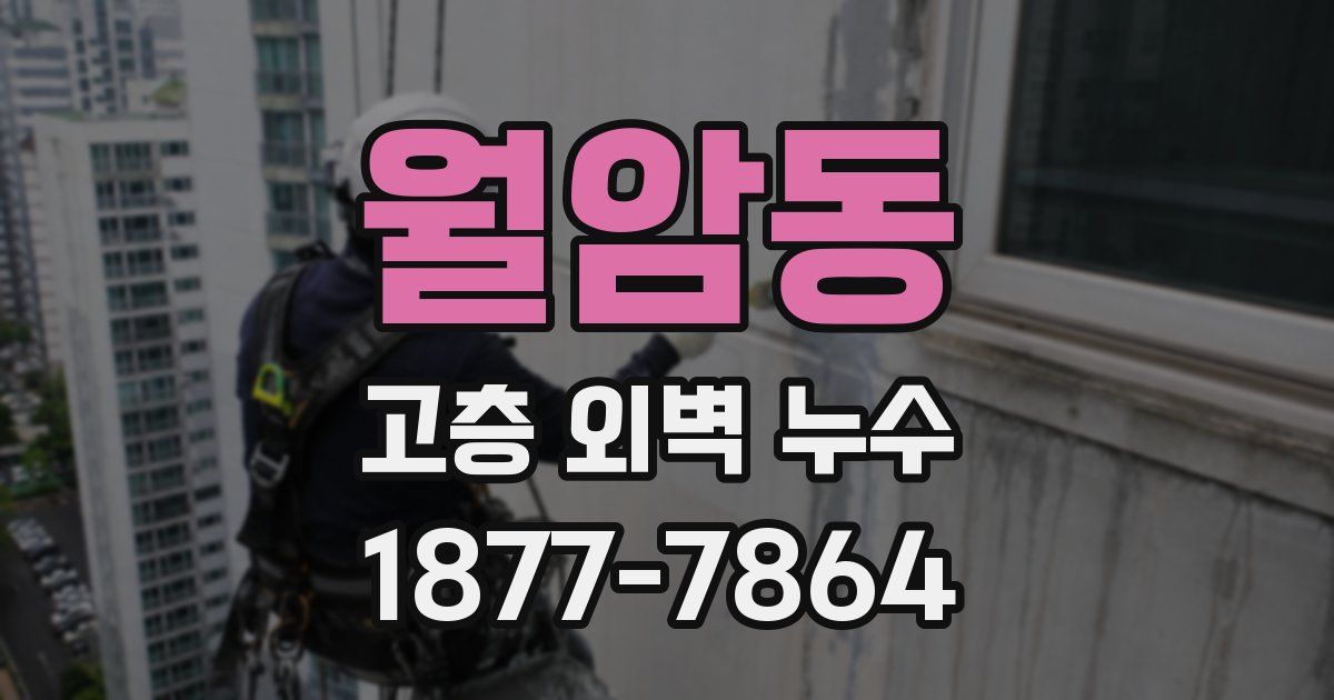 월암동 고층 외벽 누수