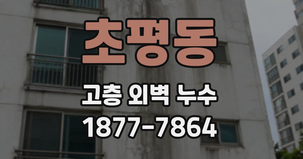 초평동 고층 외벽 누수