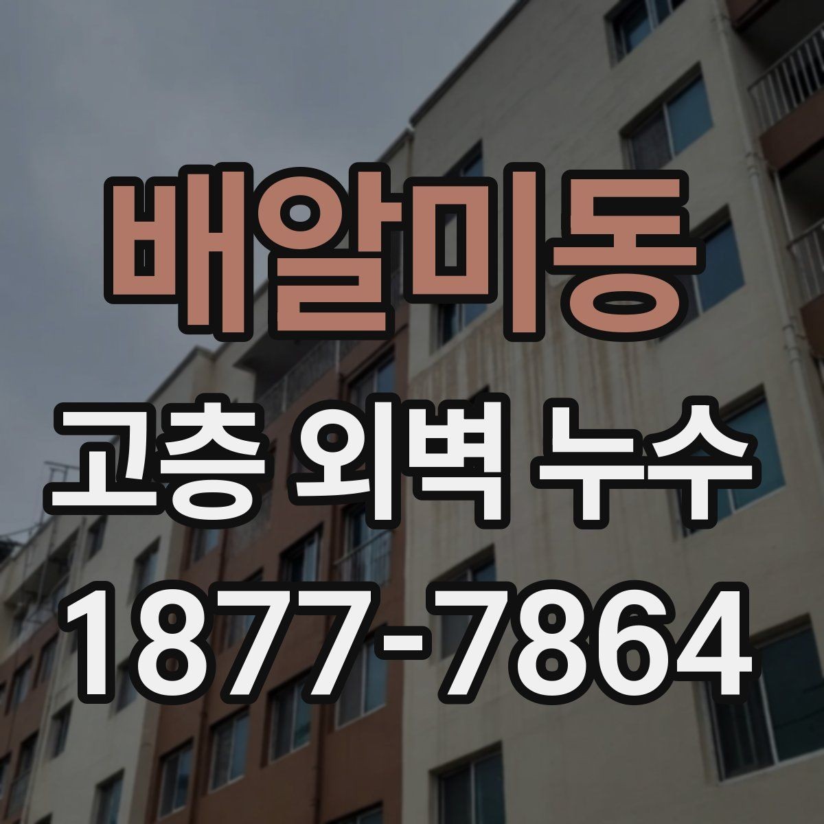 배알미동 고층 외벽 누수 건물 연식에 따라 달라지는 문제