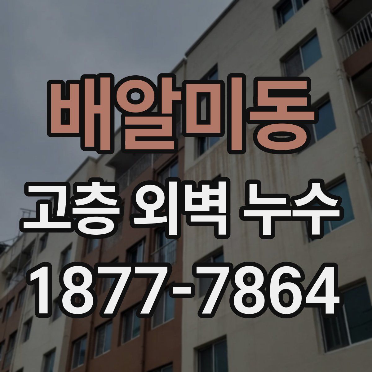 배알미동 고층 외벽 누수