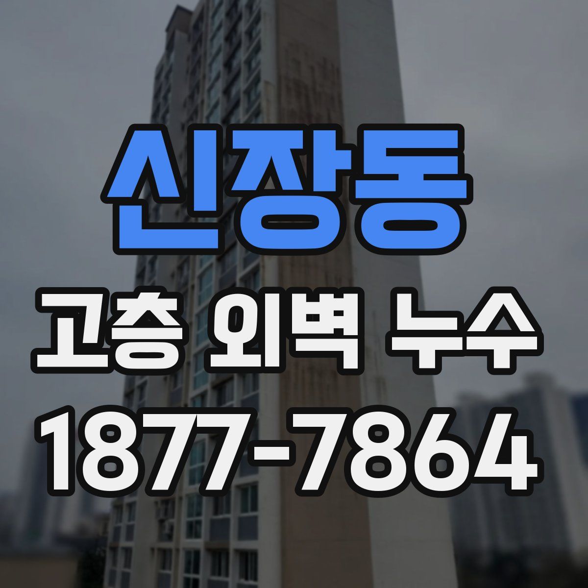 신장동 고층 외벽 누수