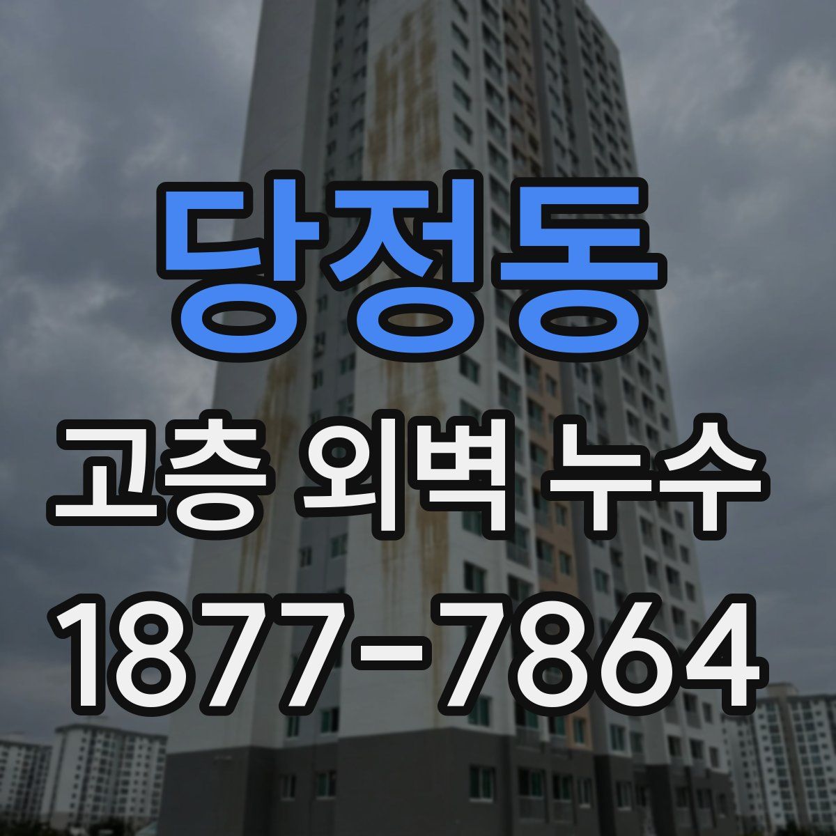 당정동 고층 외벽 누수